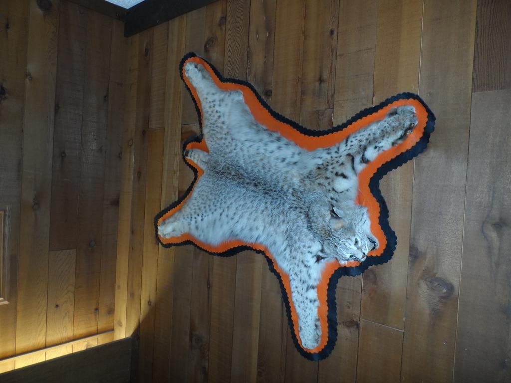 Bear Lodge Motel Sundance Luaran gambar